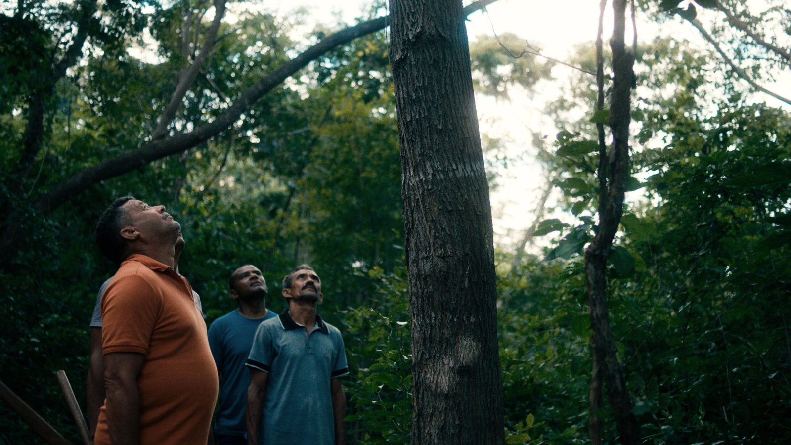 Documentário O CIO DA TERRA estreia no 31º Festival É Tudo Verdade