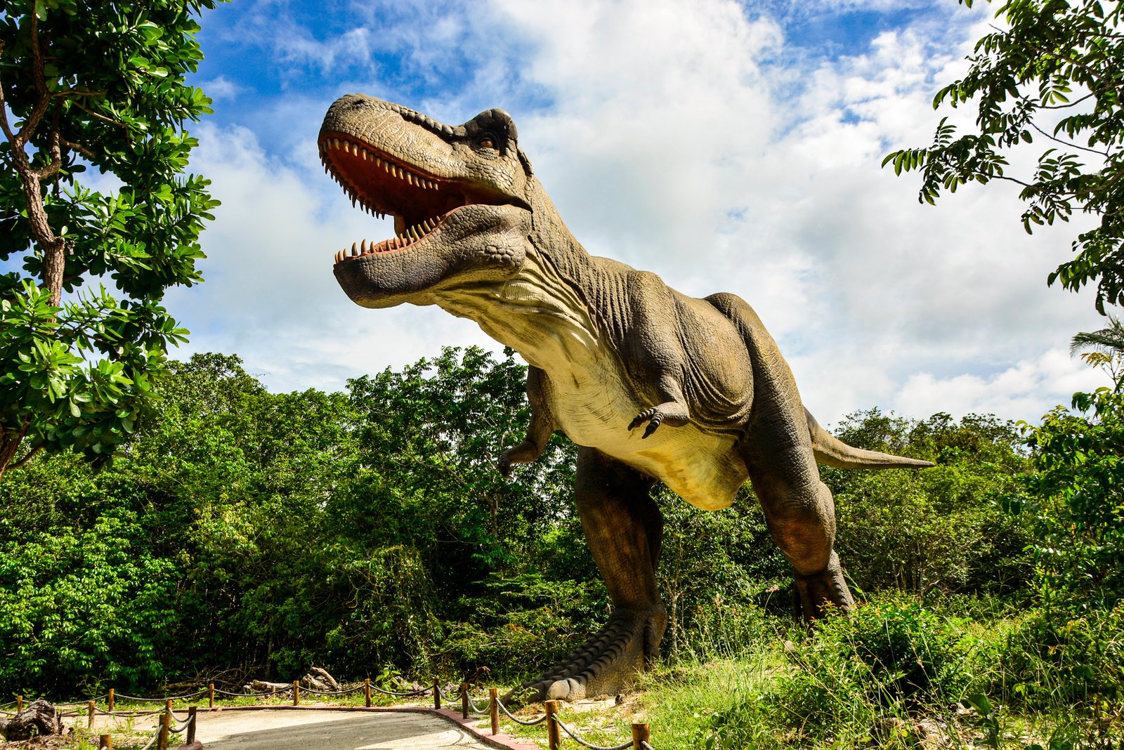 Alchymist abre na segunda-feira (13) com entrada gratuita para os 300 primeiros visitantes em celebração aos 300 anos de Fortaleza