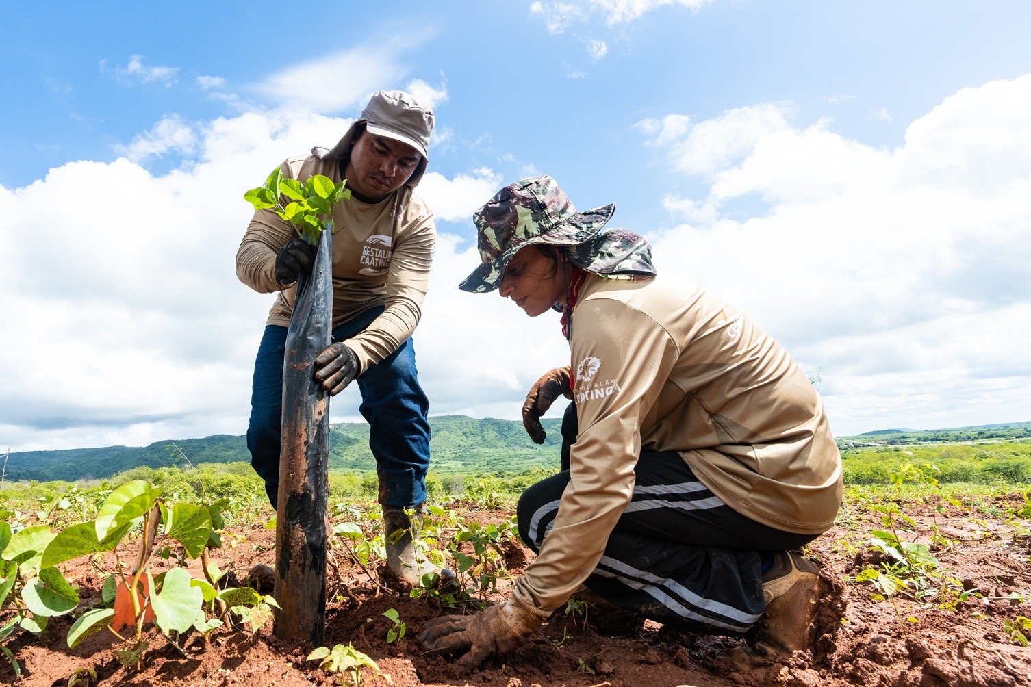 Dia Nacional da Caatinga reforça alerta sobre impactos das mudanças climáticas no bioma